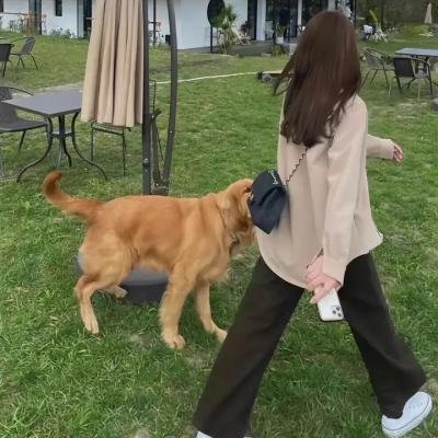马奎斯的三场葬礼